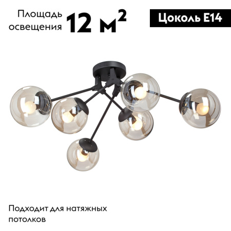 Потолочная люстра Vitaluce V4323-1/6PL