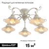 Потолочная люстра Arte Lamp 7 A4577PL-5WG