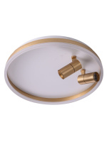 Потолочный светильник Zortes Raizy ZRS.1888.02