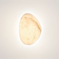 Настенный светильник Odeon Light L-Vision Marbella 6684/10WL