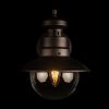 Уличный настенный светильник Loft IT Piemonte 100022W