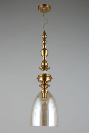 Подвесной светильник Aployt Rena APL.602.06.01