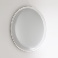 Настенно-потолочный светильник Sonex Pale Jolly 7776/ELN