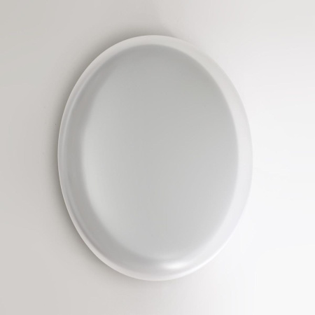 Настенно-потолочный светильник Sonex Pale Jolly 7776/ELN