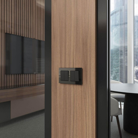 Перекрестный переключатель двухклавишный (черный матовый) W1123006 Werkel