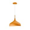 Подвесной светильник Moderli Eline V11443-1P