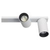 Спот Citilux Axel CL512520