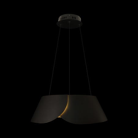 Подвесной светильник Loft IT Lane 10370P Black