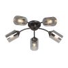 Потолочная люстра Vitaluce V2558-1/5PL
