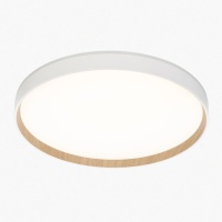 Потолочный светильник Citilux Etalon CL750400R