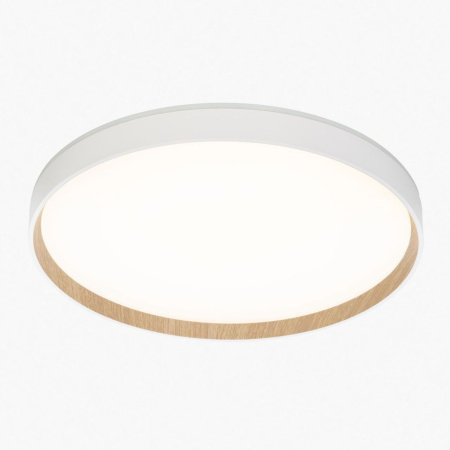 Потолочный светильник Citilux Etalon CL750400R