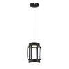 Подвесной светильник Indigo Capsula 14027/2P Black V000155L