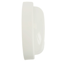 Настенно-потолочный светильник Feron AL3006 48994