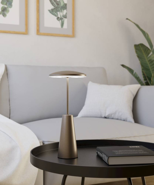 Уличная настольная лампа Eglo Piccola 900924