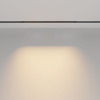 Трековый магнитный светильник Maytoni Points TR031-2-24W2.7K-B