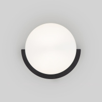 Настенный светильник Eurosvet Moity 70150/1 черный