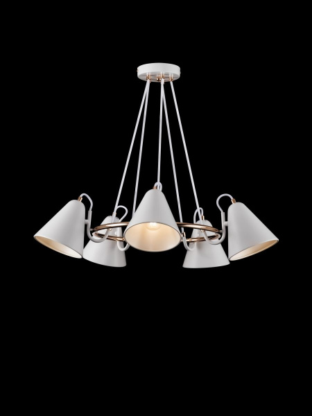 Подвесная люстра Freya Falke Market FR8001PL-05WG