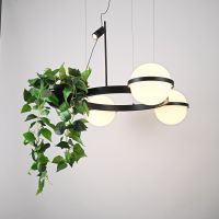 Подвесная люстра ImperiumLoft Palma 248666-01