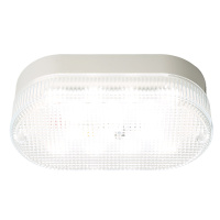 Настенно-потолочный светильник Feron 51511 Светодиодный светильник серии TR ЖКХ Овал 12Вт, 4000К, призма, IP53