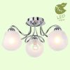 Накладная люстра Lussole Lgo Iliamna GRLSP-8139