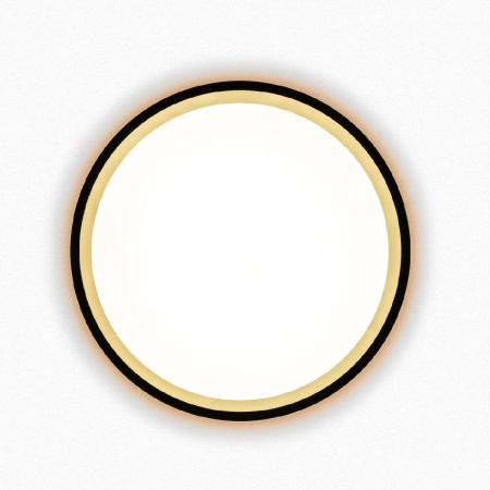 Настенно-потолочный светильник Citilux Etalon CL750181