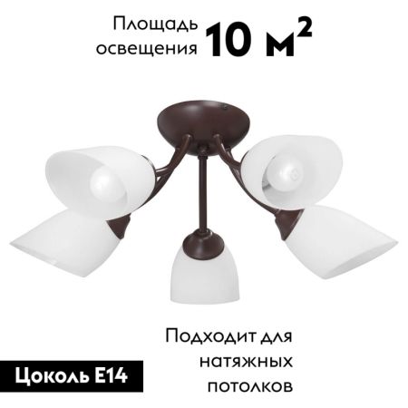 Потолочная люстра Vitaluce V3404/5PL