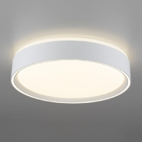 Потолочный светильник Citilux Boss CL751250G