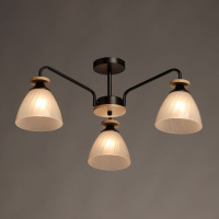 Люстра на штанге De Markt Дэла 635018003