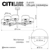 Люстра на штанге Citilux Alton CL421272
