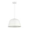Подвесной светильник Evoluce Blank SLE1805-503-01
