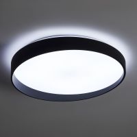 Потолочный светильник Freya Pass FR6222CL-L84B