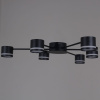 Потолочная люстра Reluce 06730-0.3-06 GX53 BK