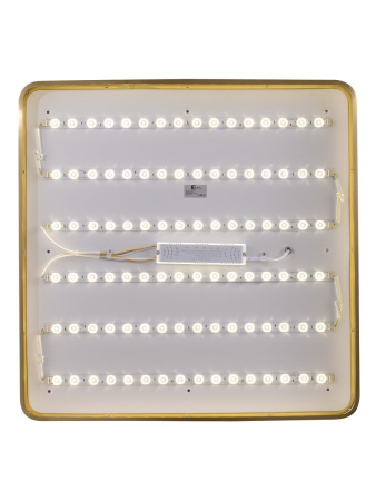 Потолочный светильник Zortes Monna ZRS.1209.07