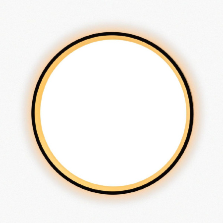 Настенно-потолочный светильник Citilux Etalon CL750241