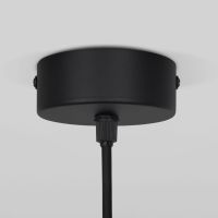Подвесной светильник Elektrostandard Grollo 50120/1 черный