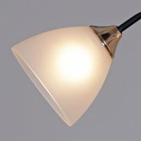 Потолочный светильник Reluce 09103-0.3-02 BK+FG