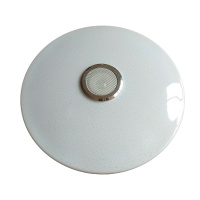 Потолочный светильник Escada Zenith 10295/5 LED APP