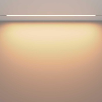 Трековый светодиодный светильник Maytoni Technical Exility Basis TR030-2-30W3K-W