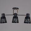 Потолочная люстра Reluce 06074-3.3-03 BK+FG