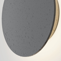 Уличный настенный светодиодный светильник Maytoni Wald O420WL-L12GF