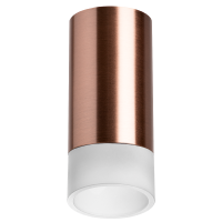 Накладной светильник Lightstar Rullo R43031 (214430+202431)