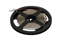Светодиодная лента SWG SWG2P60-24-4.8-W 005270