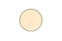 Потолочный светильник Zortes Bella ZRS.1200.07