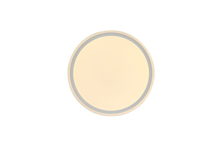 Потолочный светильник Zortes Bella ZRS.1200.07