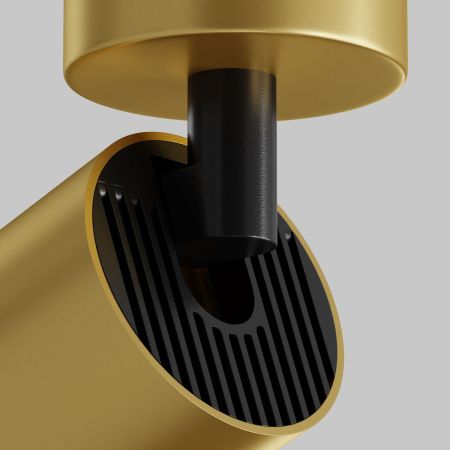 Потолочный светильник Maytoni Technical Focus C017CW-01MG-N