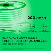 Светодиодный двусторонний неон Apeyron Стандарт 220В 2835 6Вт/м зеленый 50м IP65 17-26