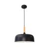 Подвесной светильник Arte Lamp Kayla A7102SP-1BK