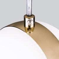 Подвесной светильник Elektrostandard DLN050 GX53 золото