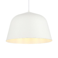 Подвесной светильник Evoluce Blank SLE1805-503-01