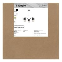 Подвесная люстра Freya Lumin FR5515PL-03B